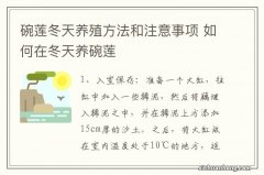 碗莲冬天养殖方法和注意事项 如何在冬天养碗莲