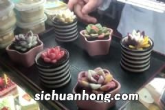 越南被曝咖啡造假，咖啡中掺杂电池芯，喝咖啡要注意什么？