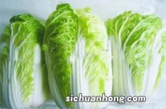 一颗白菜多少斤?