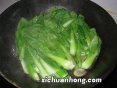 小棠菜是什么菜