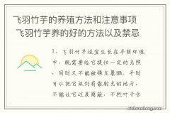 飞羽竹芋的养殖方法和注意事项 飞羽竹芋养的好的方法以及禁忌