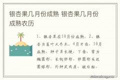 银杏果几月份成熟 银杏果几月份成熟农历