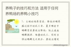 养鸭子的技巧和方法 适用于任何养鸭场的养鸭小技巧