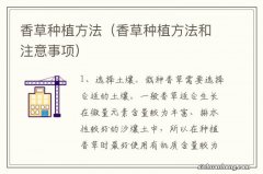 香草种植方法和注意事项 香草种植方法