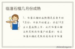 临潼石榴几月份成熟