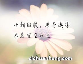 对情人失望心寒的诗句