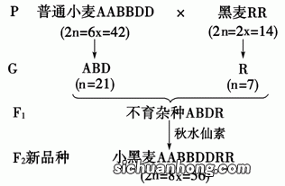 重结晶的步骤八个字