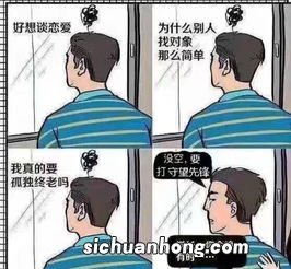 凭实力单身是什么意思