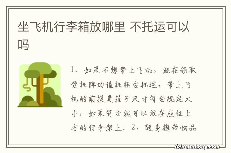 坐飞机行李箱放哪里 不托运可以吗