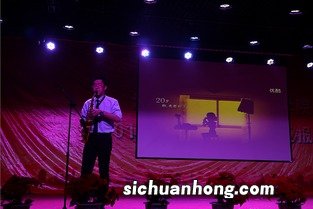 音乐表演出来什么工作