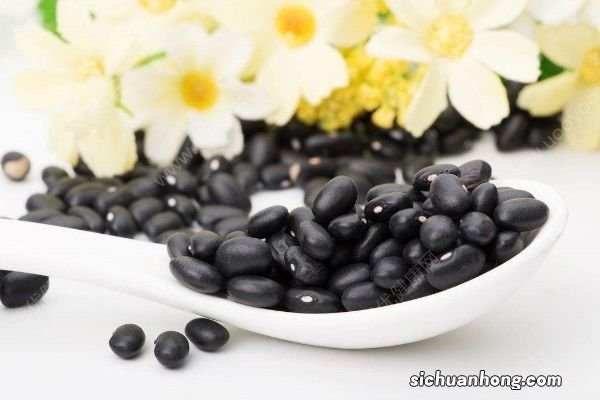 黑豆怎么吃更营养?黑豆的常见吃法有哪些?