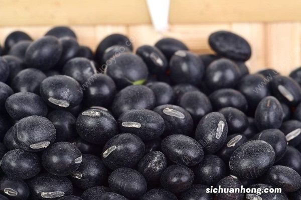 黑豆怎么吃更营养?黑豆的常见吃法有哪些?