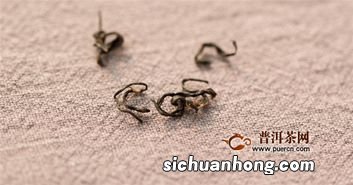 祁门香螺怎么泡