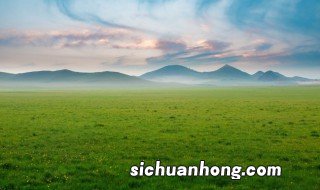百慕大草坪种植方法 百慕大草坪种植方法视频