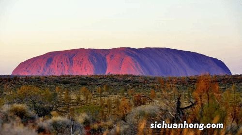 玩家热议十代《宝可梦》设计的国家原型 或为澳大利亚