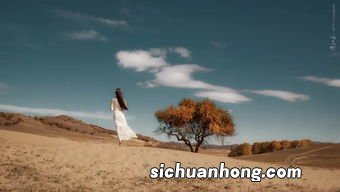 知己是一种什么感情