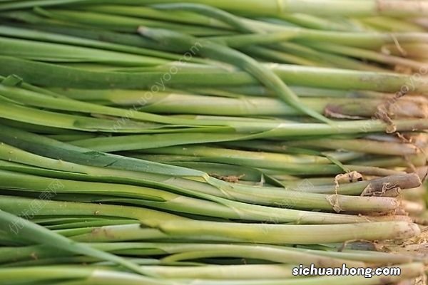 春季吃韭菜的益处是什么？这样吃韭菜好吃有养生