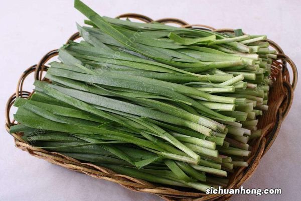 孕妇可不可以吃韭菜?孕期吃韭菜好不好?
