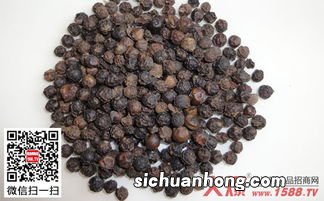 食用黑胡椒的禁忌