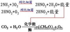 整合作用是指什么