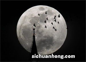 月亮和月球的区别是什么