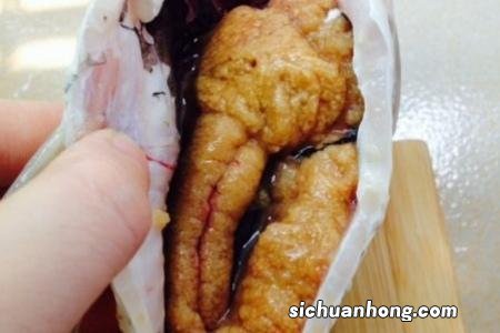 什么鱼籽又大有好吃
