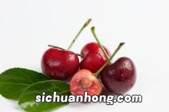 冬季适合吃冬瓜吗?冬季常吃冬瓜有这些好处