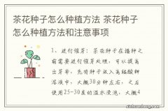 茶花种子怎么种植方法 茶花种子怎么种植方法和注意事项