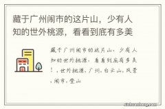 藏于广州闹市的这片山，少有人知的世外桃源，看看到底有多美！