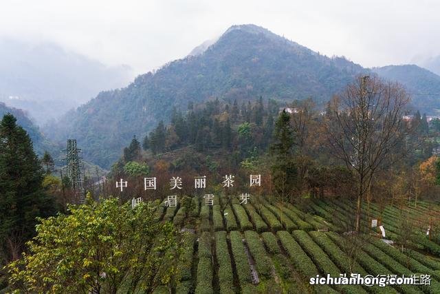 冬游峨眉,踏进“雾凇”织就的绝美仙境