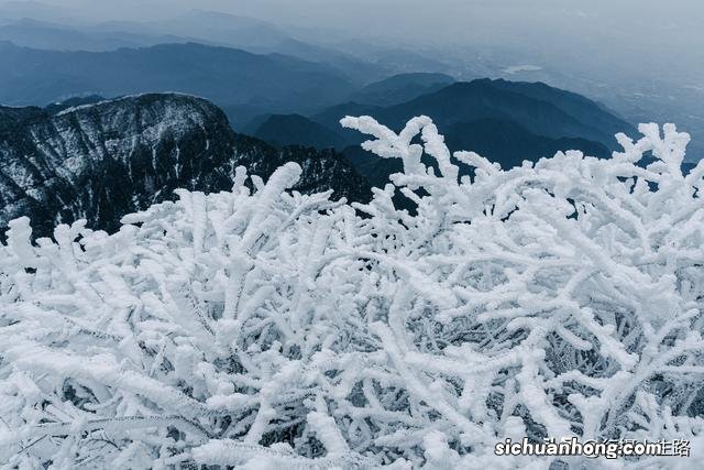 冬游峨眉,踏进“雾凇”织就的绝美仙境