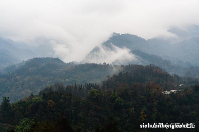 冬游峨眉,踏进“雾凇”织就的绝美仙境
