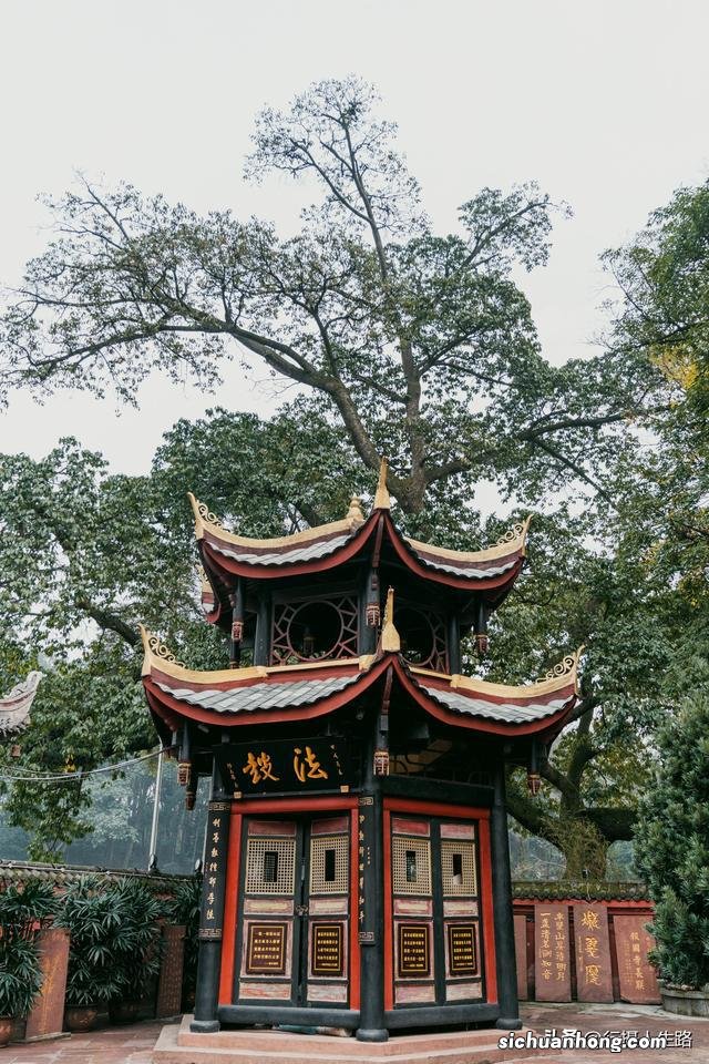 冬游峨眉,踏进“雾凇”织就的绝美仙境