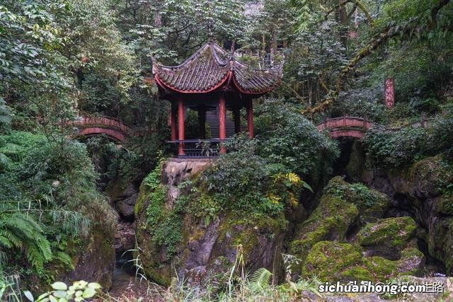 冬游峨眉,踏进“雾凇”织就的绝美仙境