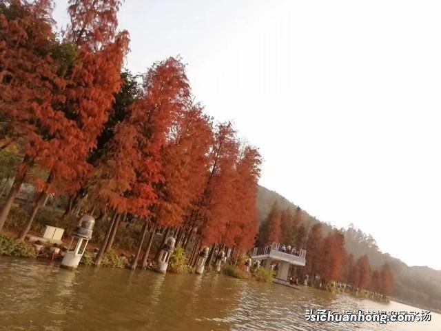 网红打卡地,顺峰山公园,既大气,又娇俏,它为什么会那么红?