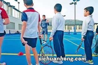 网球技术包括哪四个