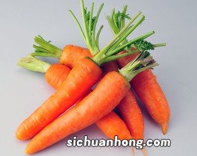 红萝卜不可以和什么吃