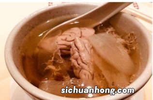 什么鸽子煮天麻治天痛