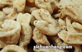 什么鸽子煮天麻治天痛