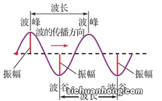 横波和纵波的区别