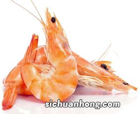 对虾和基围虾的区别