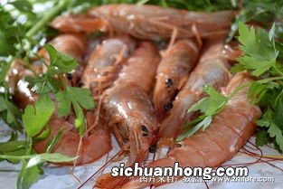 对虾和基围虾的区别