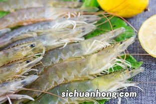 对虾和基围虾的区别