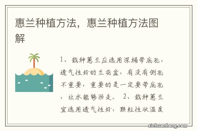 惠兰种植方法，惠兰种植方法图解