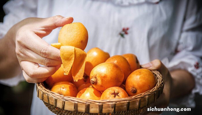 枇杷果新生苗几年会结果呢 枇杷果新生苗几年会结果