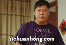 宋晓峰喝酒的电视剧宋晓峰喝酒的电视剧是什么