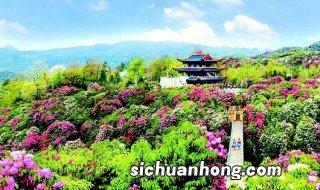 毕节市旅游景点有哪些 毕节市旅游景点简单介绍