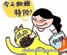 夫妻撒狗粮是什么意思