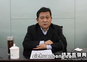 县政府办公室主任什么级别