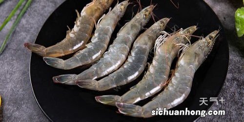 基围虾是海虾还是河虾